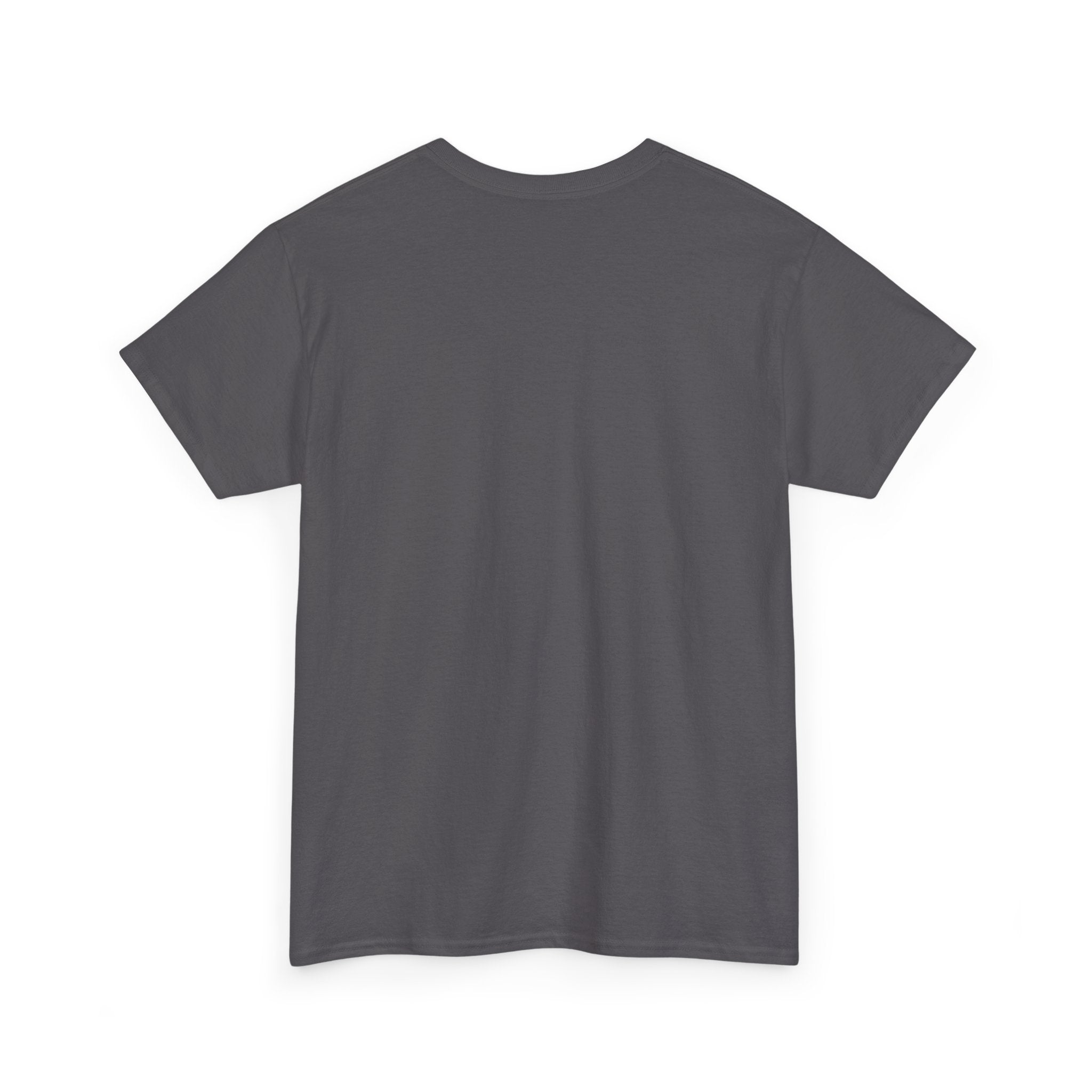 T-Shirt — “We’re Just Walking Each Other Home” Inspirational Quote Tee